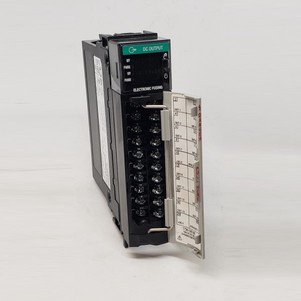 CONTROL-LOGIX Módulo de 16 salidas digitales a 24 VDC (surtidor)