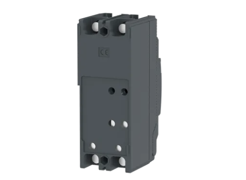 INTERRUPTOR AUTOMATICO, EZC, 2 POLOS 60A 480VCA, 18KA, SIN TERMINALES