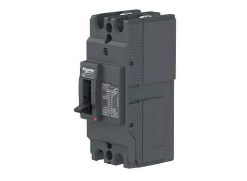 INTERRUPTOR AUTOMATICO, EZC, 2 POLOS 60A 480VCA, 18KA, SIN TERMINALES