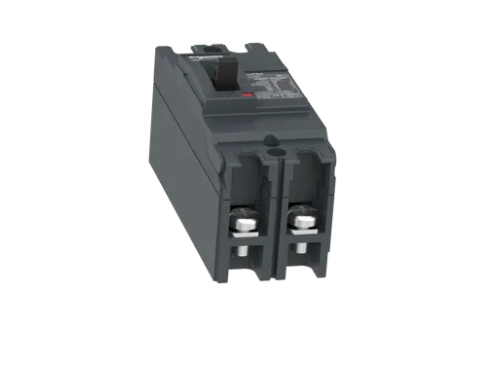 INTERRUPTOR AUTOMATICO, EZC, 2 POLOS 60A 480VCA, 18KA, SIN TERMINALES