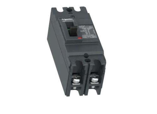 INTERRUPTOR AUTOMATICO, EZC, 2 POLOS 80A 480VCA, 18KA, SIN TERMINALES